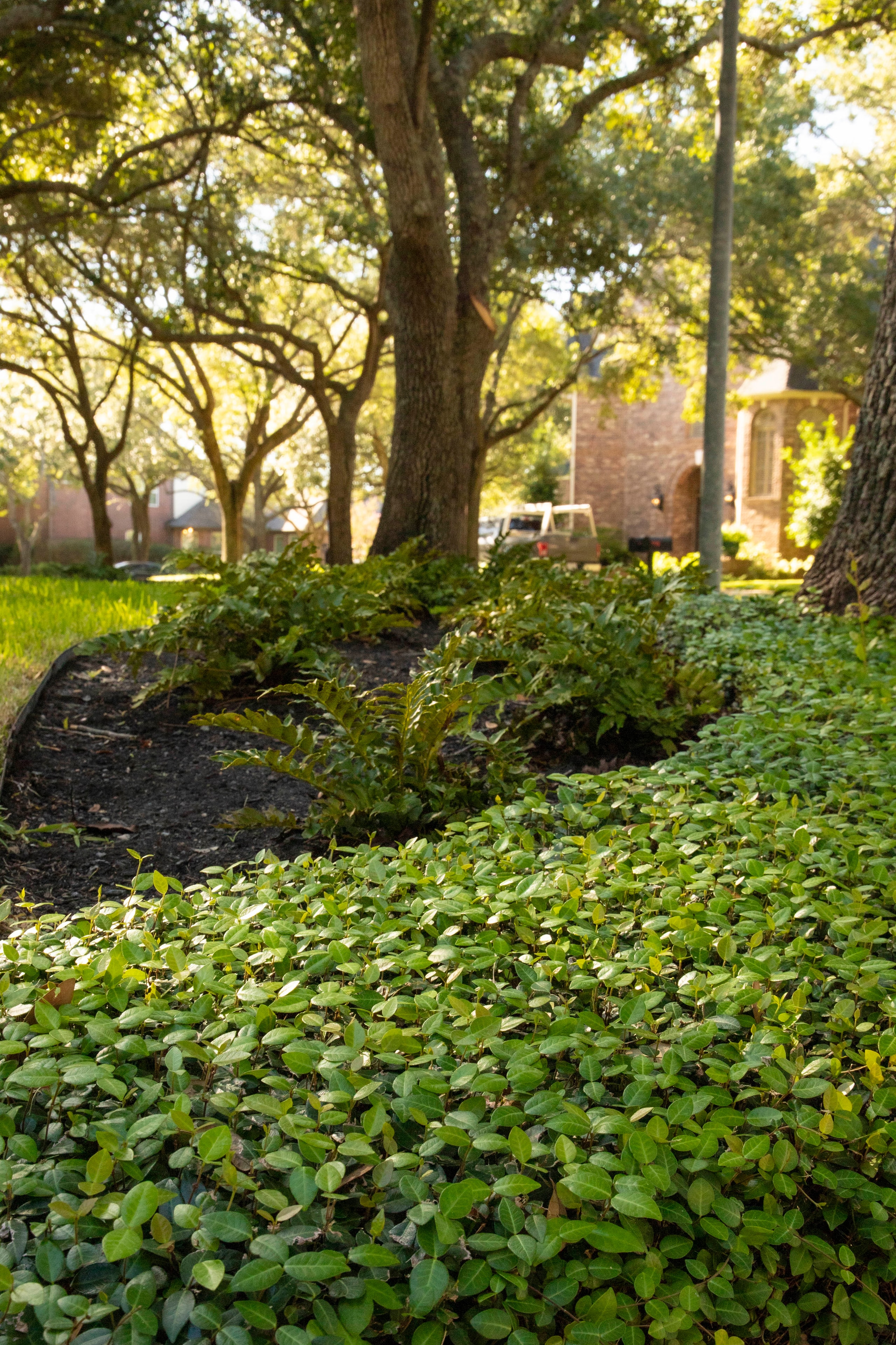 Burns Landscaping project